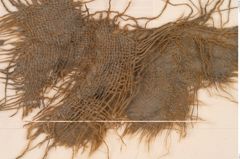 Foto von Textil (NHMW-PRAE-125686)